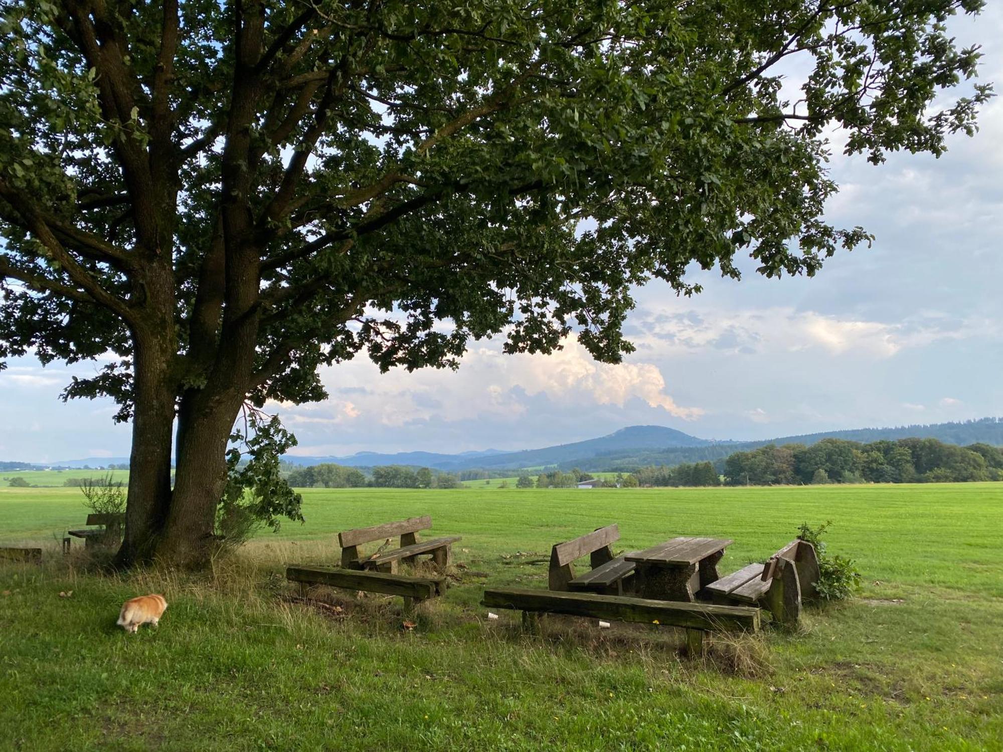 Eifel Ferienhaus Luna Ohlenhard Екстериор снимка